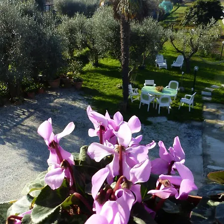 Apartment La Casa Di Silvia Massarosa